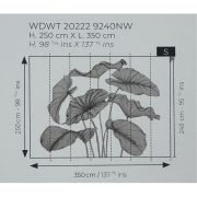 Panoramique intissé Alocasia noir fusain - 350X250cm - Wonderwalls 3 - Casadeco - WDWT202229240NW