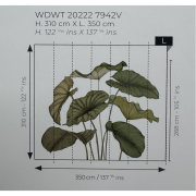 Panoramique vinyle sur intissé Alocasia vert feuillage - 350X310cm - Wonderwalls 3 - Casadeco - WDWT202227942V