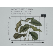 Panoramique vinyle sur intissé Alocasia vert feuillage - 350X250cm - Wonderwalls 3 - Casadeco - WDWT202227940V