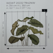 Panoramique intissé Alocasia vert feuillage - 350X310cm - Wonderwalls 3 - Casadeco - WDWT202227842NW
