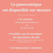 Panoramique vinyle sur intissé Empire des formes - 400X310cm - Wonderwalls 3 - Casadeco - WDWT202206212NW