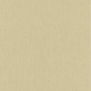 Papier peint vinyle sur intissé Uni Florentine vert d'eau - Florentine IV - Rasch - 484687