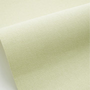 Papier peint intissé Uni vert amande - OUTLINES - Caselio - OTLS64527721