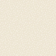 Papier peint vinyle sur intissé Core beige - Forma - Caselio - FOA107981010
