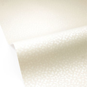 Papier peint vinyle sur intissé Core beige - Forma - Caselio - FOA107981010