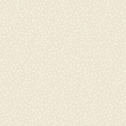 Papier peint vinyle sur intissé Core beige - Forma - Caselio - FOA107981010