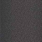 Papier peint vinyle sur intissé Core noir - Forma - Caselio - FOA107989099