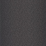 Papier peint vinyle sur intissé Core noir - Forma - Caselio - FOA107989099