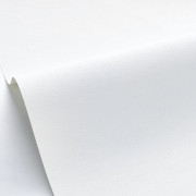 Papier peint vinyle sur intissé Uni blanc - Forma - Caselio - FOA64520000