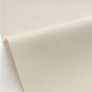 Papier peint vinyle sur intissé Uni beige foncé - Forma - Caselio - FOA64521010