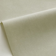 Papier peint vinyle sur intissé Uni vert amande foncé - Forma - Caselio - FOA64527210