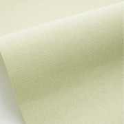 Papier peint vinyle sur intissé Uni vert amande - Forma - Caselio - FOA64527721