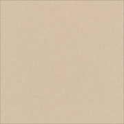 Papier peint vinyle sur intissé Uni taupe - Forma - Caselio - FOA64522412