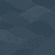 Papier peint vinyle sur intissé Stillness bleu nuit - Solstice - Caselio - SSC107946085