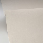 Papier peint vinyle sur intissé Uni mat coquille d'oeuf - Solstice - Caselio - SSC103221050