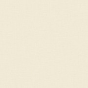 Papier peint vinyle sur intissé Uni mat coquille d'oeuf - Solstice - Caselio - SSC103221050