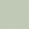 Papier Peint vinyle sur intissé Uni mat vert amande - XXL - Caselio - XXL103227128