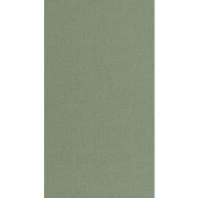 Papier peint vinyle sur intissé Uni mat vert bleu- Solstice - Caselio - SSC103227660