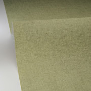 Papier peint vinyle sur intissé Uni mat vert pistache - Solstice - Caselio - SSC103227864