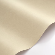 Papier peint intissé Brume sable - Maison de Famille - Casadeco - FAMI202731620