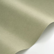 Papier peint intissé Brume vert tilleul - Maison de Famille - Casadeco - FAMI202737455
