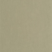 Papier peint vinyle sur intissé Masaya vert lichen - So Color 6 - Casadeco - SOCO86427223
