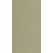 Papier peint vinyle sur intissé Masaya vert lichen - So Color 6 - Casadeco - SOCO86427223