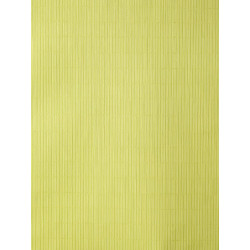 Papier peint Store vert par - AMAZONIA - Caselio - AMZ66481025