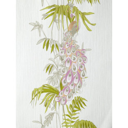 Papier peint Paon rose et vert - AMAZONIA - Caselio - AMZ66423000