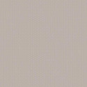 Papier peint Pois gris - ALICE ET PAUL - Casadeco - AEP18911302