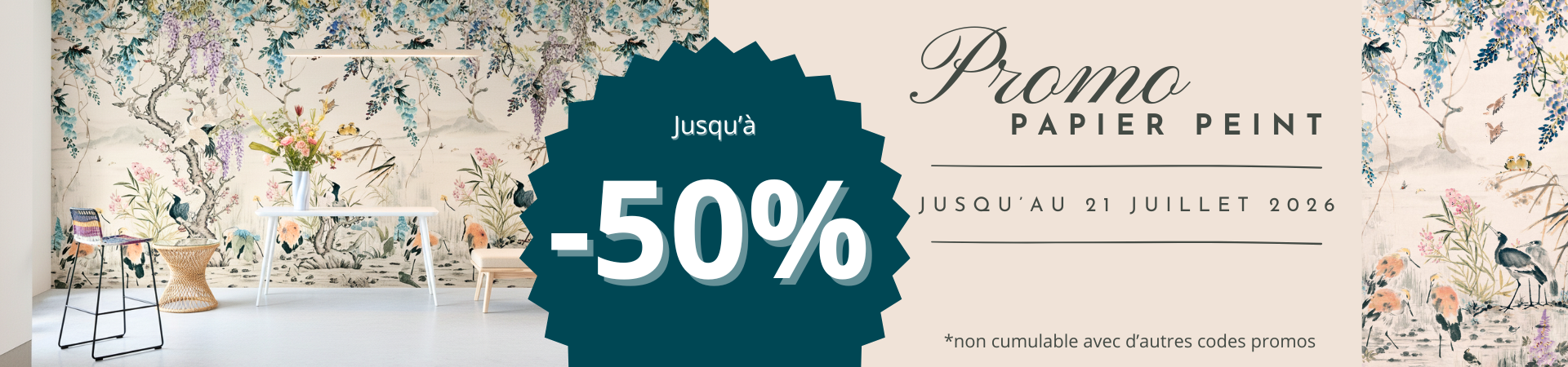 Promo d'été panoramique