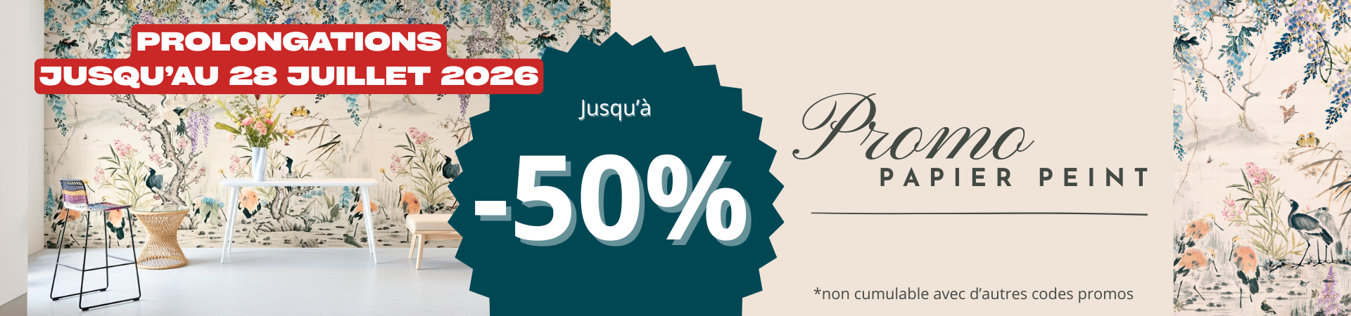 Promo d'été panoramique
